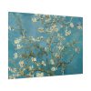92409-267.jpg Vincent van Gogh's Almond Blossom Poster