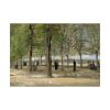 92409-290.jpg Vincent van Gogh's Terrace in the Luxembourg Gardens Poster
