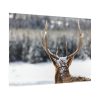 92409-302.jpg Deer Portrait From Behind Poster