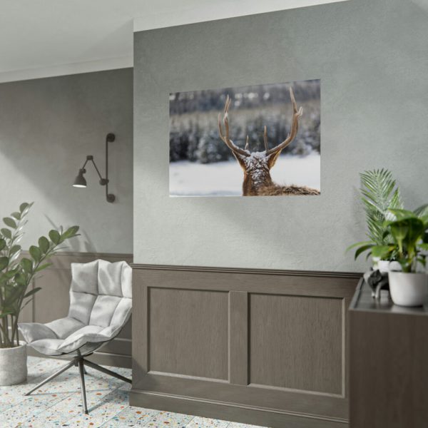 92409-304.jpg Deer Portrait From Behind Poster