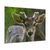 92409-307.jpg Deer With Small Horns Poster