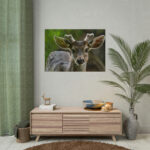Deer With Small Horns Poster - Image 9