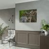 92409-309.jpg Deer With Small Horns Poster