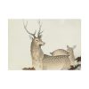 92409-310.jpg Couple of Deers Poster