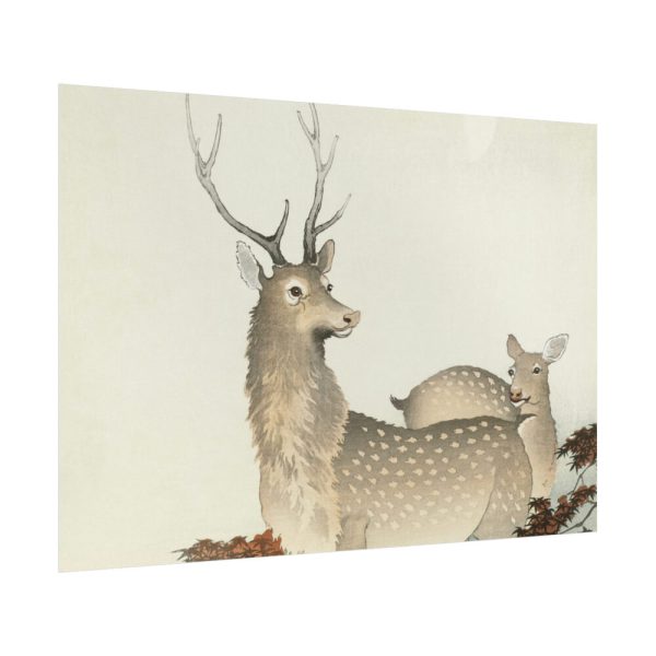 92409-312.jpg Couple of Deers Poster