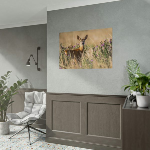 92409-319.jpg Roe Deer Poster