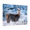 92409-327.jpg Deer In The Forest Poster