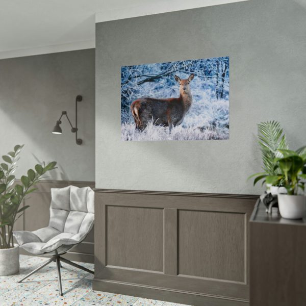 92409-329.jpg Deer In The Forest Poster