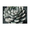 92409-55.jpg Boho Succulent Plant Poster
