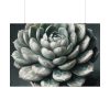 92409-56.jpg Boho Succulent Plant Poster