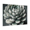 92409-57.jpg Boho Succulent Plant Poster