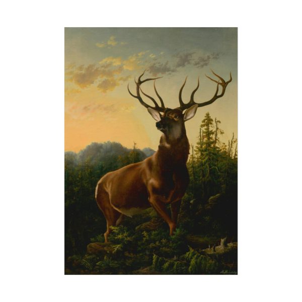 92410-200.jpg Deer in Forest Landscape Poster