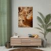 92410-208.jpg Roe Deer in Nature Poster