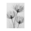 92410-245.jpg Delicate Flowers Art Poster