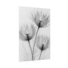 92410-247.jpg Delicate Flowers Art Poster