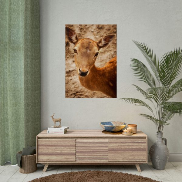 92411-208.jpg Roe Deer in Nature Poster