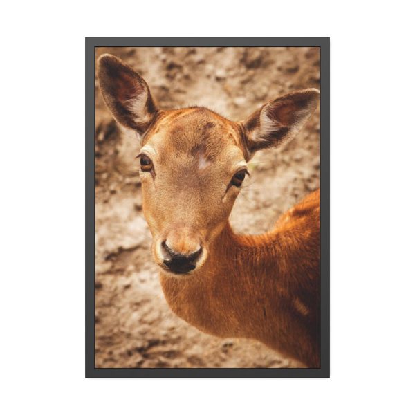 93830-140.jpg Roe Deer in Nature Framed Poster