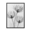 93830-172.jpg Delicate Flowers Art Framed Poster