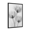 93830-173.jpg Delicate Flowers Art Framed Poster