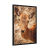 93831-161.jpg Roe Deer in Nature Framed Poster