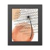 93835.jpg Dandelion Flower Weed Framed Poster