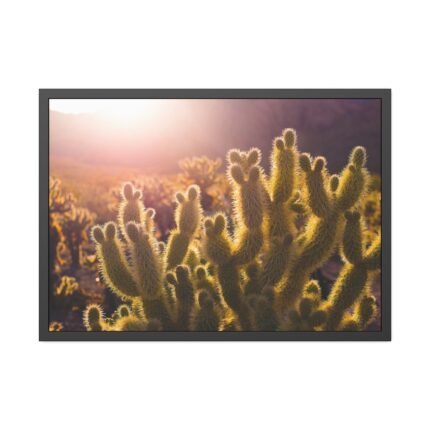 Landscape of Cactus Framed Poster