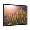 93854-129.jpg Landscape of Cactus Framed Poster