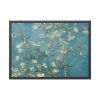 93854-204.jpg Vincent van Gogh's Almond Blossom Framed Poster