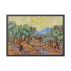 Vincent van Gogh's Olive Trees Framed Poster