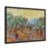 Vincent van Gogh's Olive Trees Framed Poster