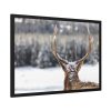 93854-233.jpg Deer Portrait From Behind Framed Poster