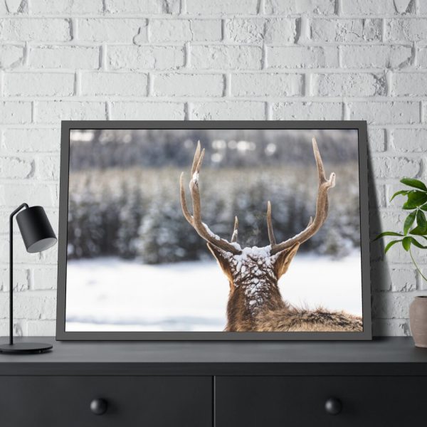 93854-235.jpg Deer Portrait From Behind Framed Poster