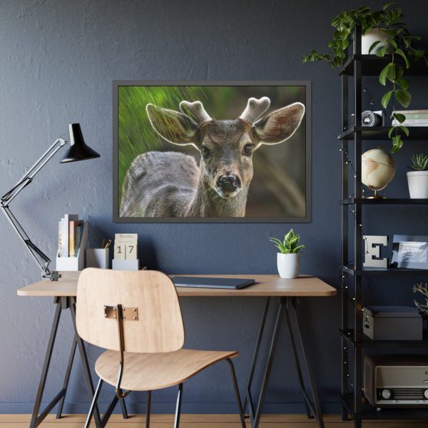 93854-238.jpg Deer With Small Horns Framed Poster