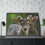 Deer With Small Horns Framed Poster - Image 4