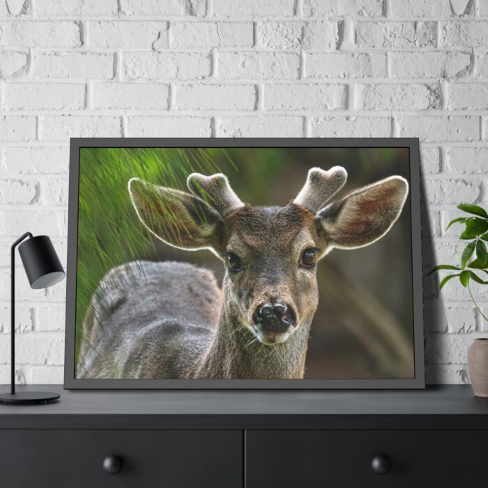 Deer With Small Horns Framed Poster - Image 4