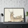 93854-243.jpg Couple of Deers Framed Poster
