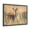 93854-245.jpg Roe Deer Framed Poster