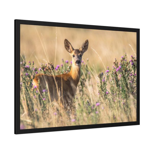 93854-245.jpg Roe Deer Framed Poster
