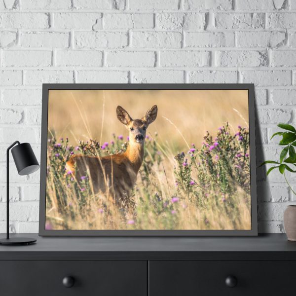 93854-247.jpg Roe Deer Framed Poster
