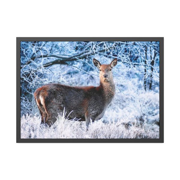 93854-252.jpg Deer In The Forest Framed Poster