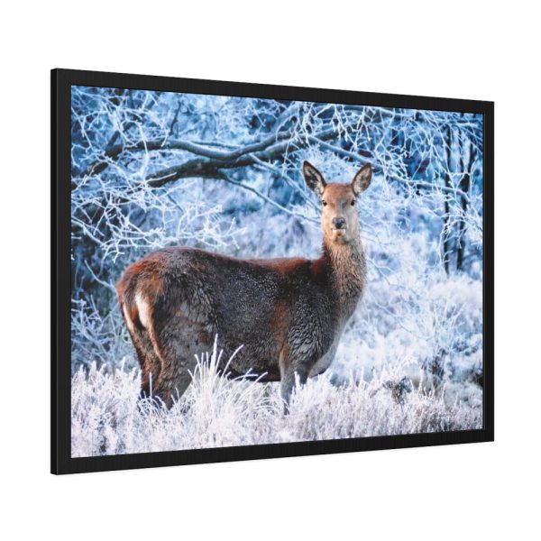 93854-253.jpg Deer In The Forest Framed Poster