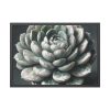 93854-52.jpg Boho Succulent Plant Framed Poster