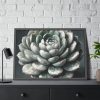 93854-55.jpg Boho Succulent Plant Framed Poster