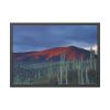 93855-135.jpg Desert With Cactus Framed Poster