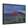 93855-136.jpg Desert With Cactus Framed Poster