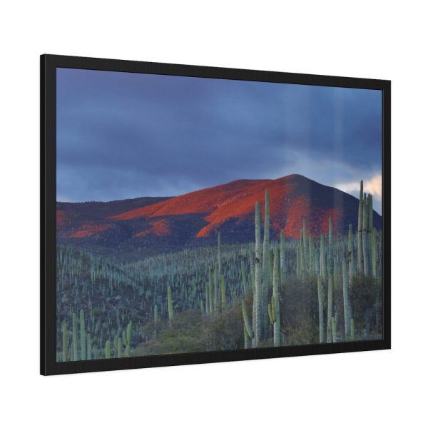 93855-136.jpg Desert With Cactus Framed Poster