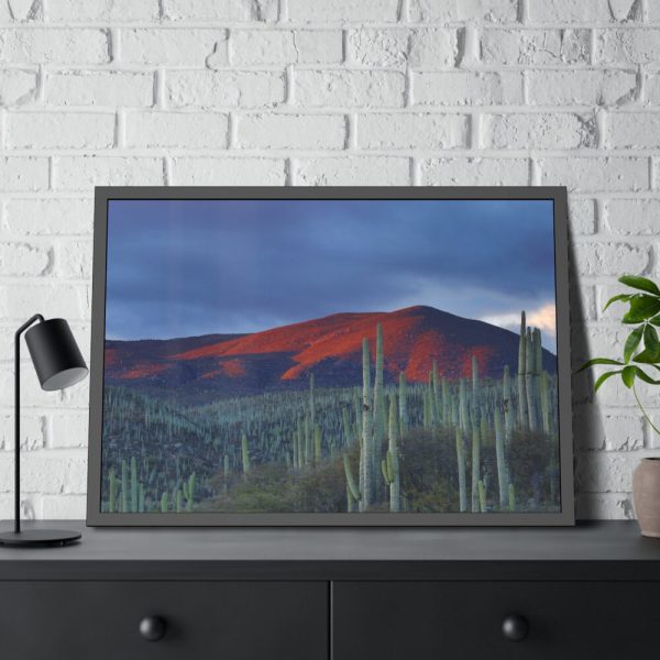 93855-138.jpg Desert With Cactus Framed Poster