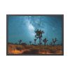 93855-139.jpg Starry Sky Night With Cactus Framed Poster