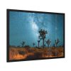 93855-140.jpg Starry Sky Night With Cactus Framed Poster