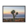 Sunset With Cactus Framed Poster